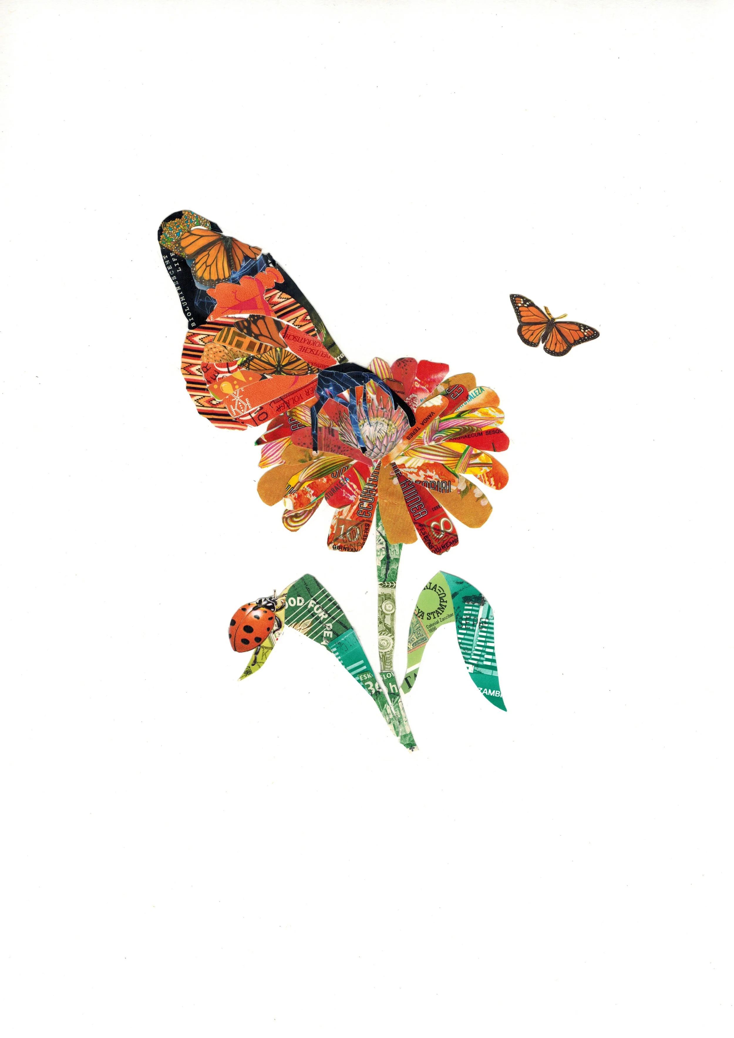 monarch zinnia stamp art.jpeg