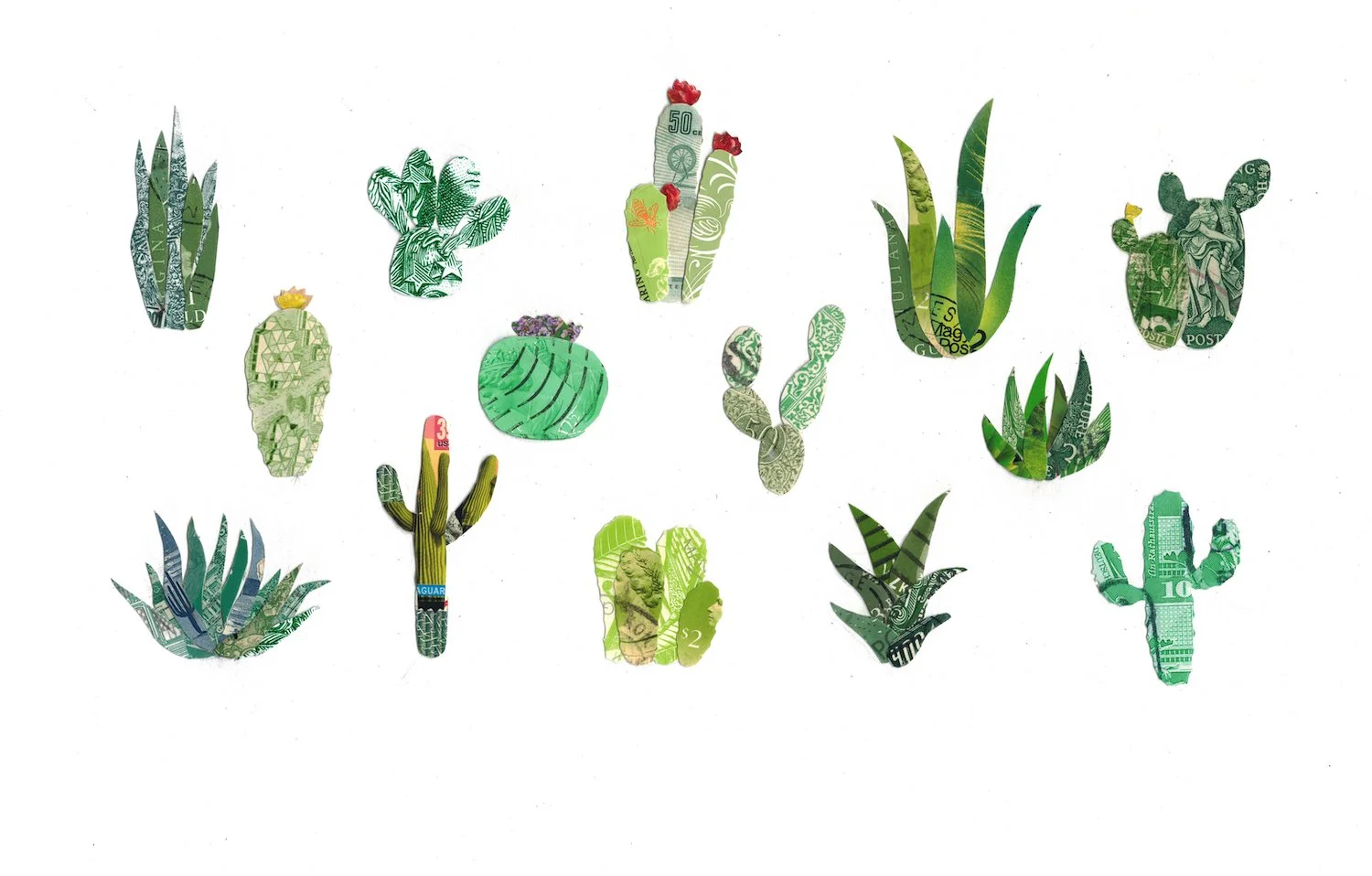 Succulents for web.jpeg