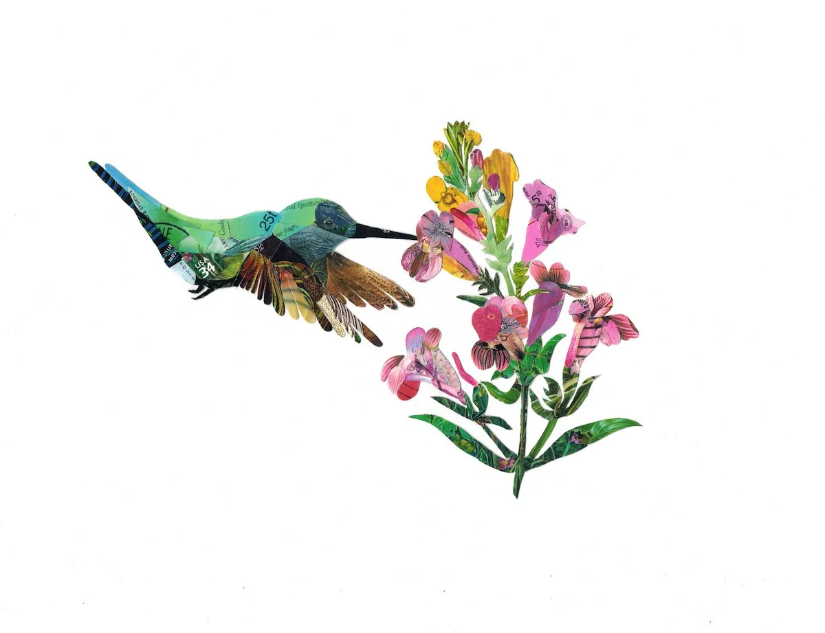 Hummingbird and penstemon clean best small for web.jpeg
