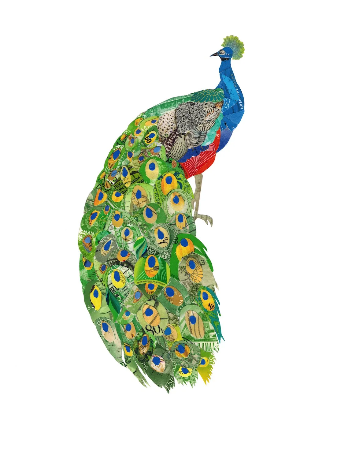 Peacock 2026 small for web.jpg
