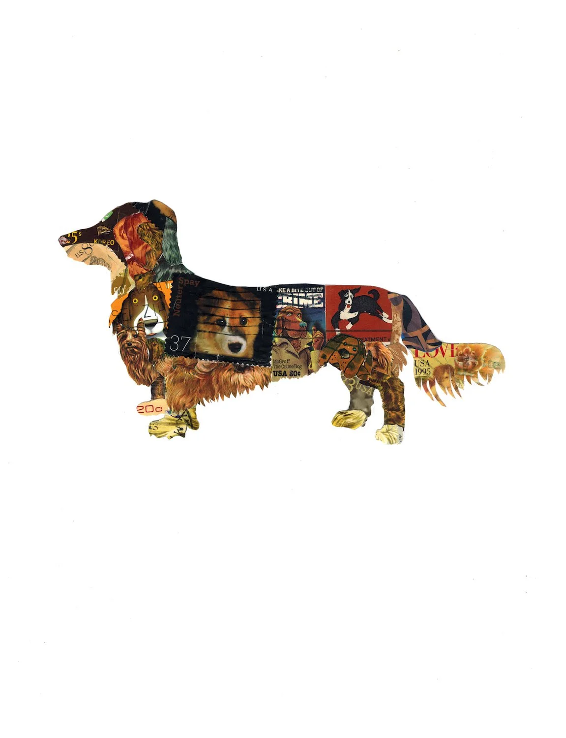 dachshund 2025 small for web.jpg