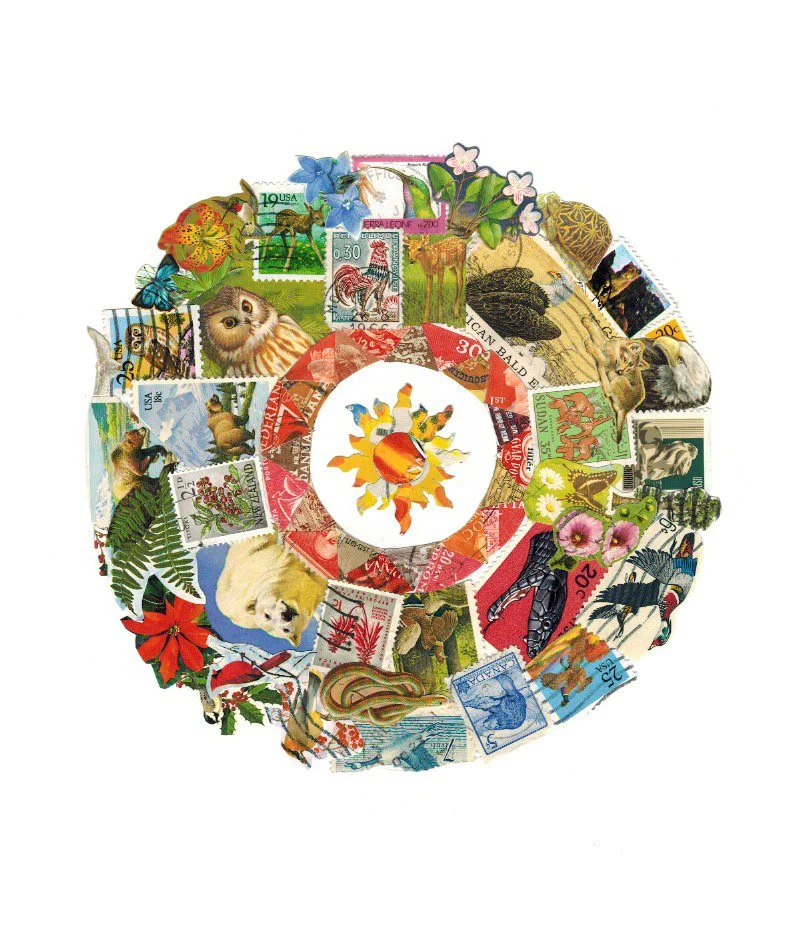 medicine wheel small for web.jpg