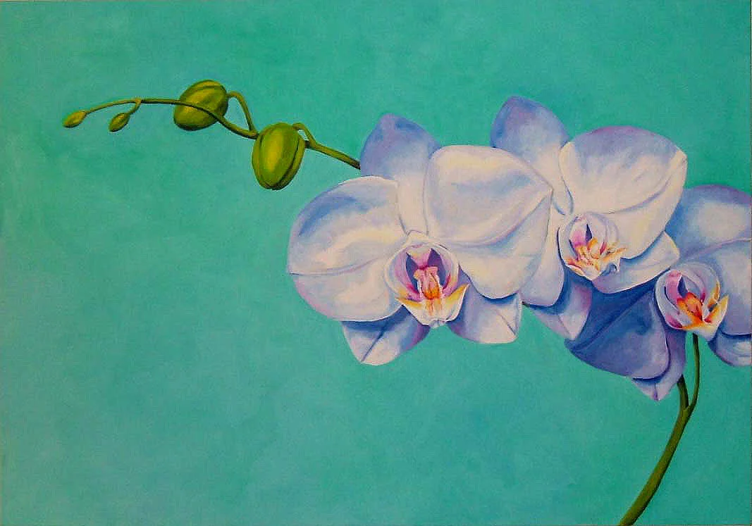 Orchids , Oil on canvas, 28"x40"