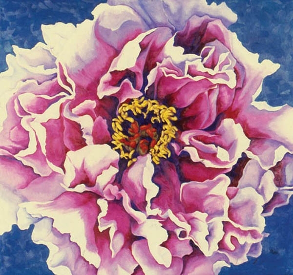   Peony , Oil on canvas, 28"x30", 2000 