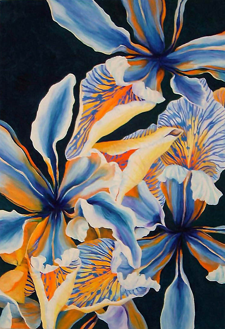   Irises , Oil on Canvas, 32"x22", 2005 