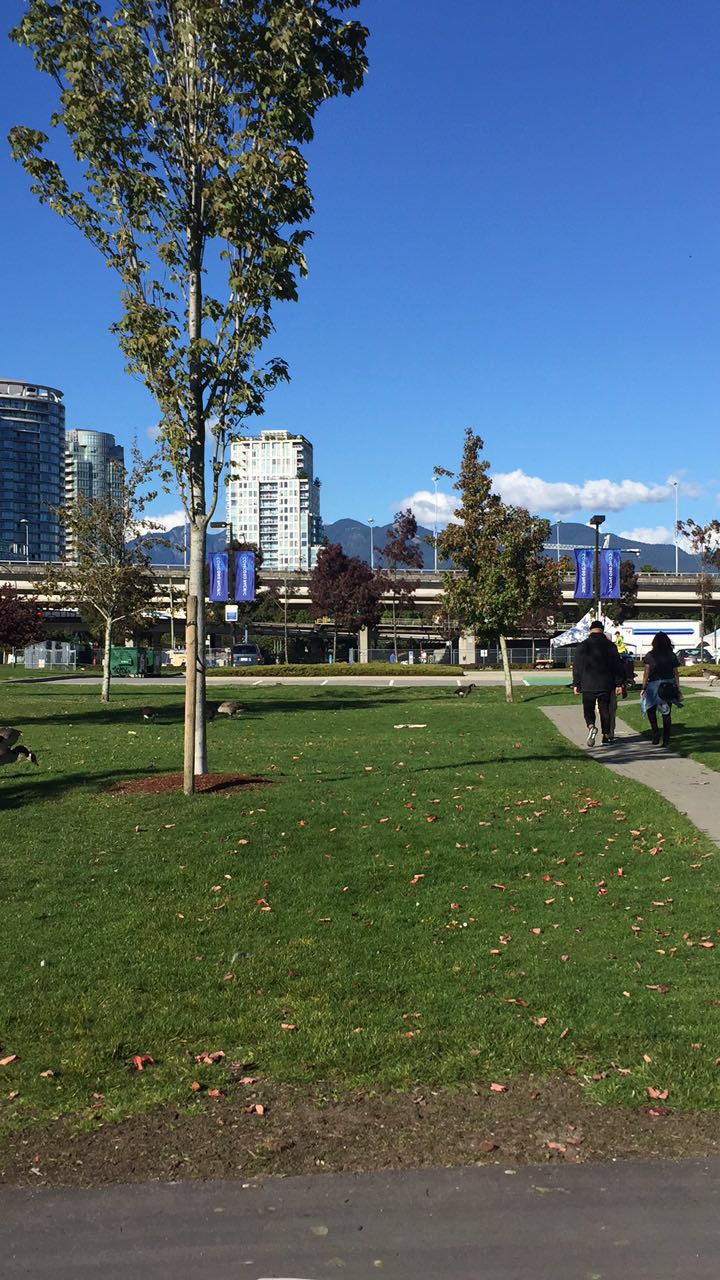You can see the mountains in the background. Perfect weather too! 
