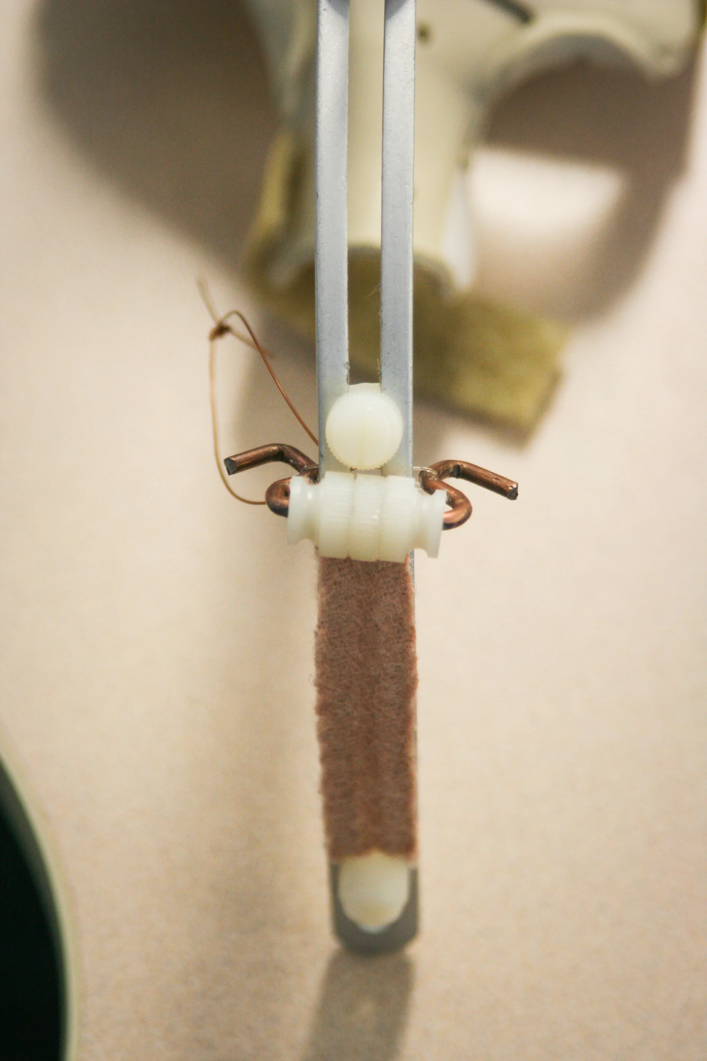 Splints-56.jpg