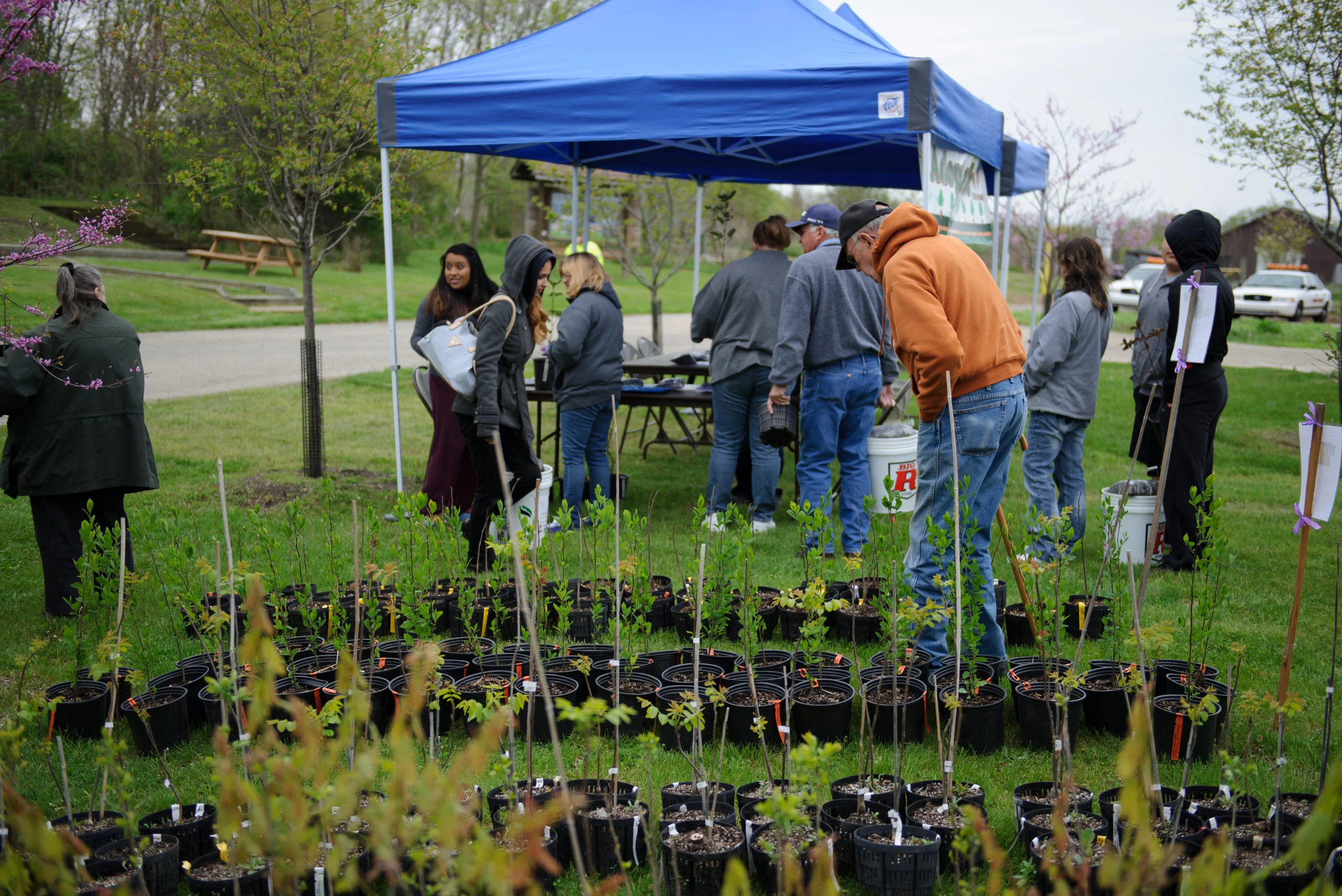 Arbor Day-37.jpg