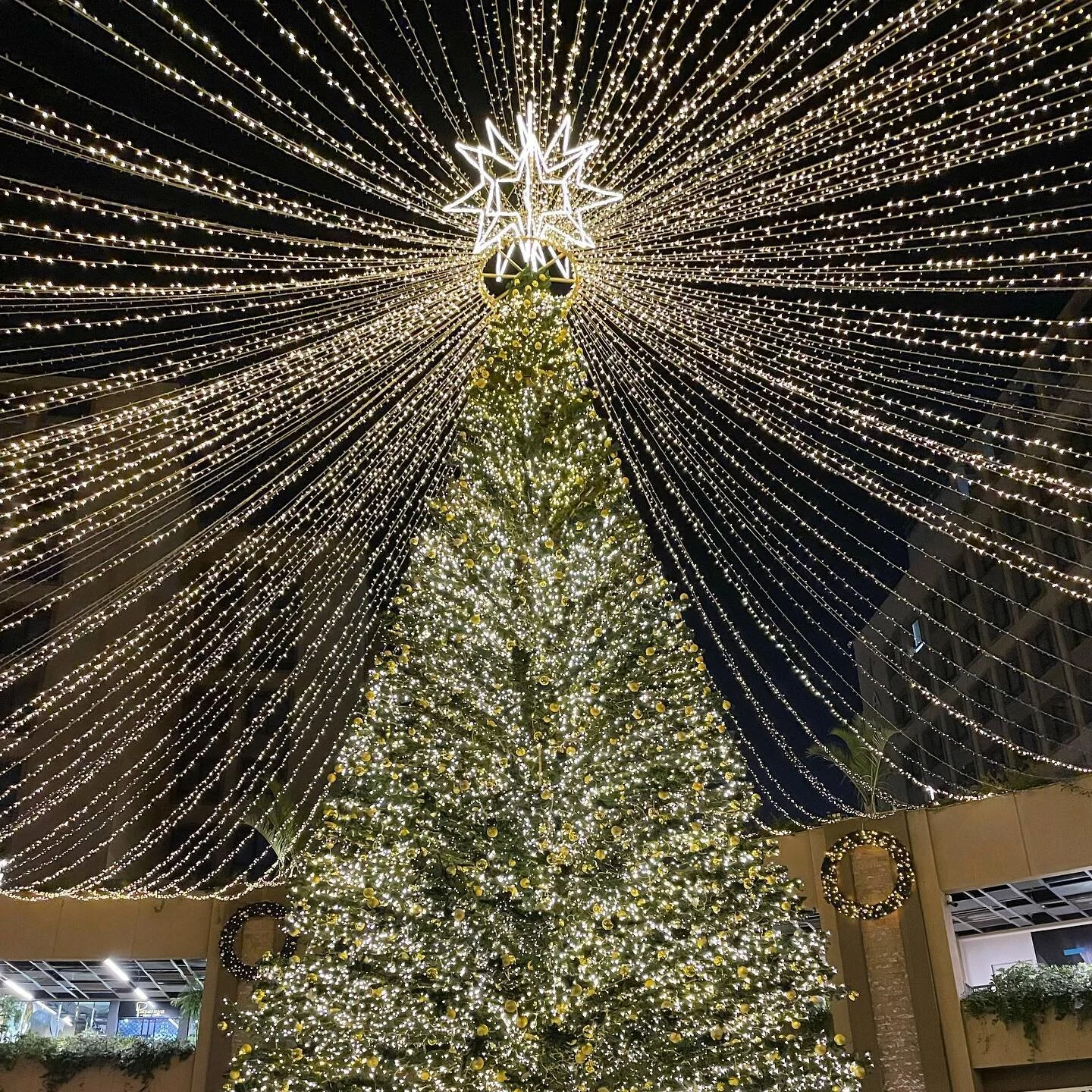 Sending out love and seasonal greetings to all. 

Stay safe and healthy everyone. 💛 

#christmas #seasonsgreetings #blessings #cairo