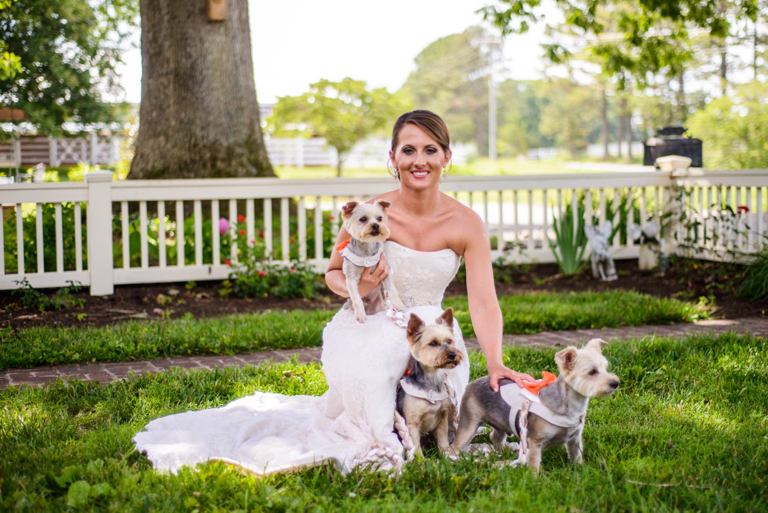  Greg &amp; Jess Photography - Nashville Wedding &amp; Engagement Photographer - Dogs 