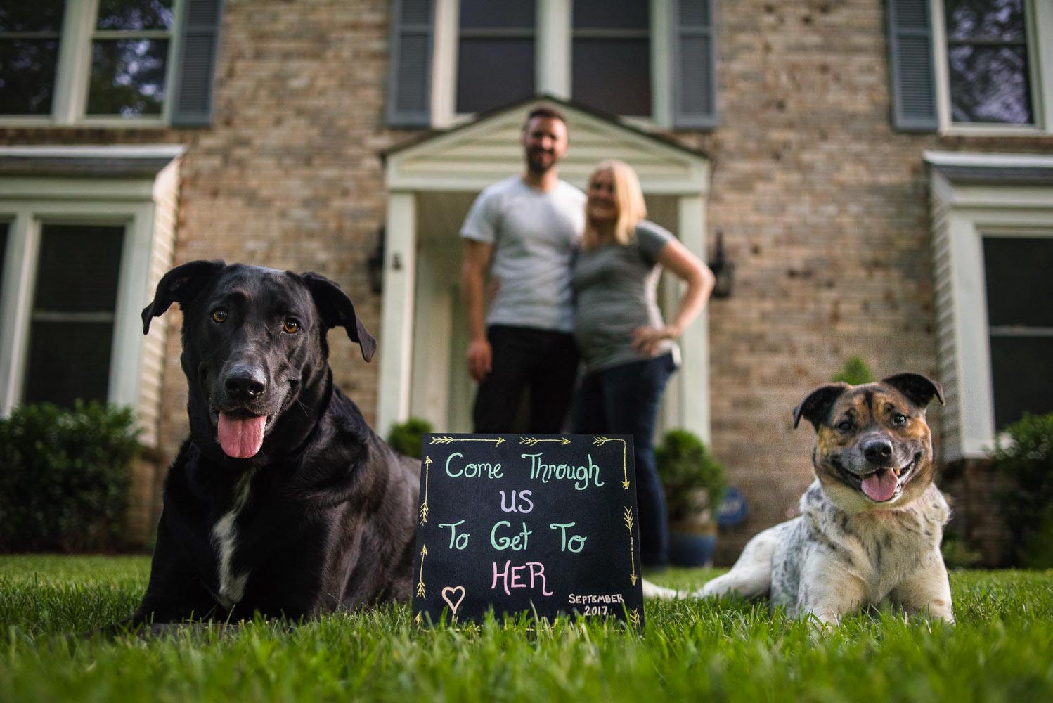  Greg &amp; Jess Photography - Nashville Family Photographer - Dogs 