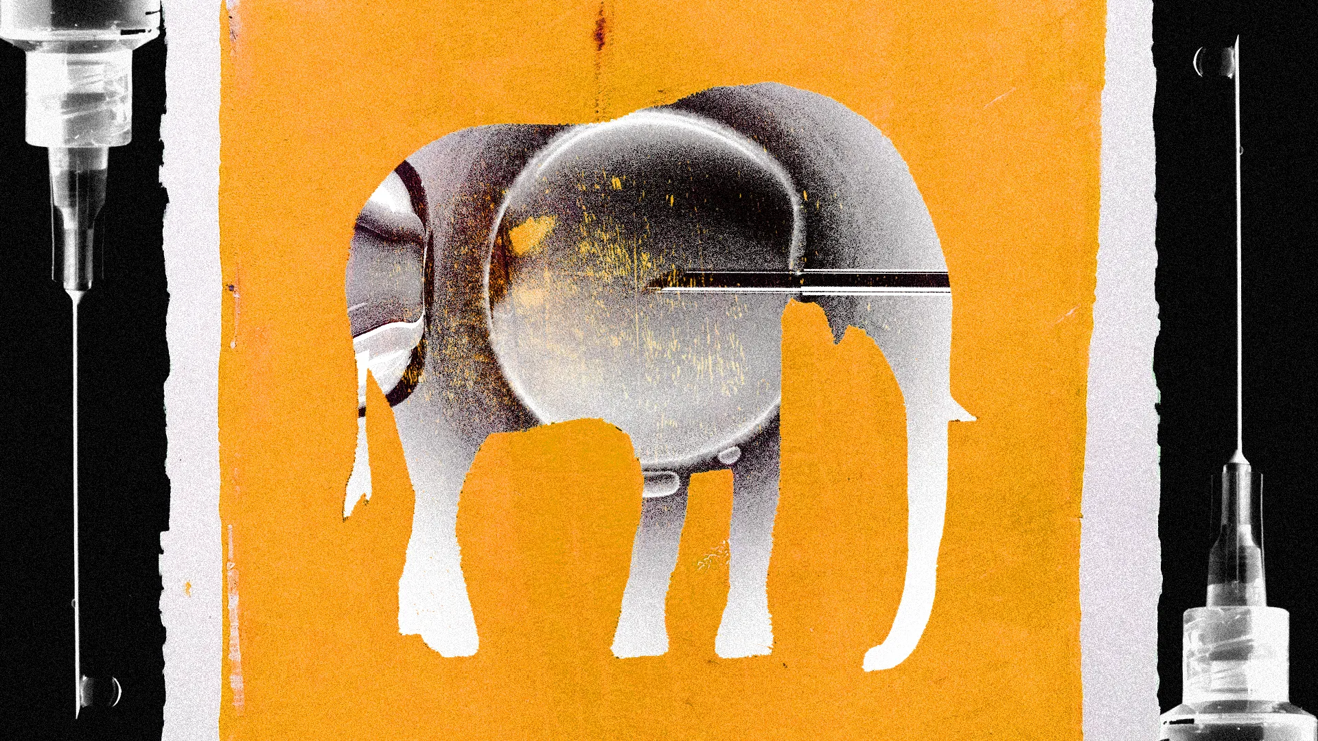   Conservative support builds for IVF guardrails  
