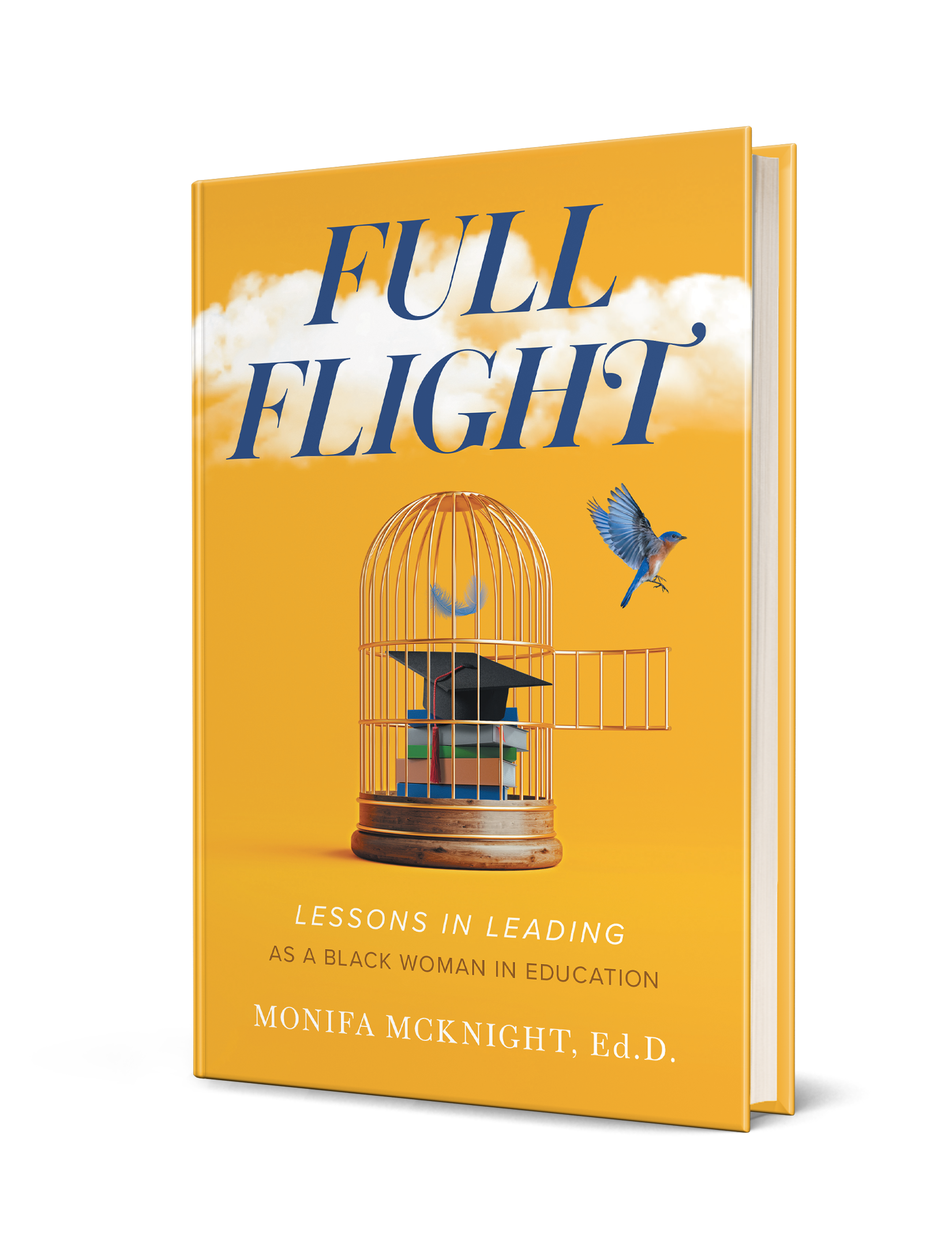 MonifaMcKnight_FrontCover_Lock_Hardcover_3D.png