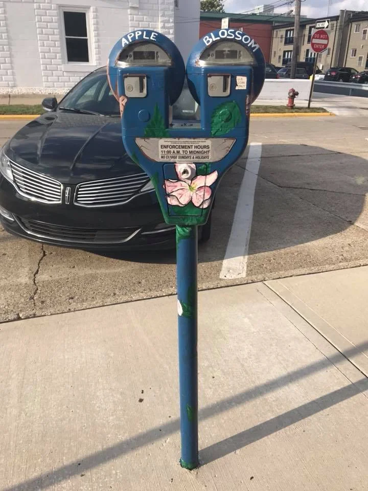 meter52.jpg