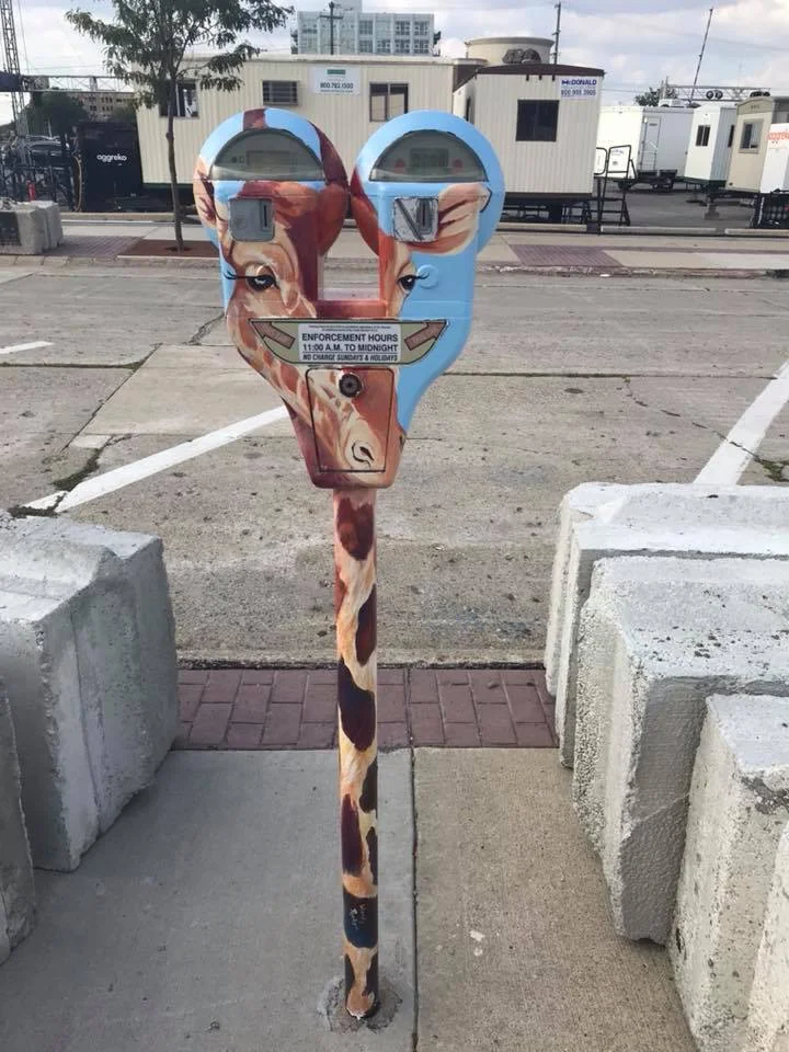 meter81.jpg