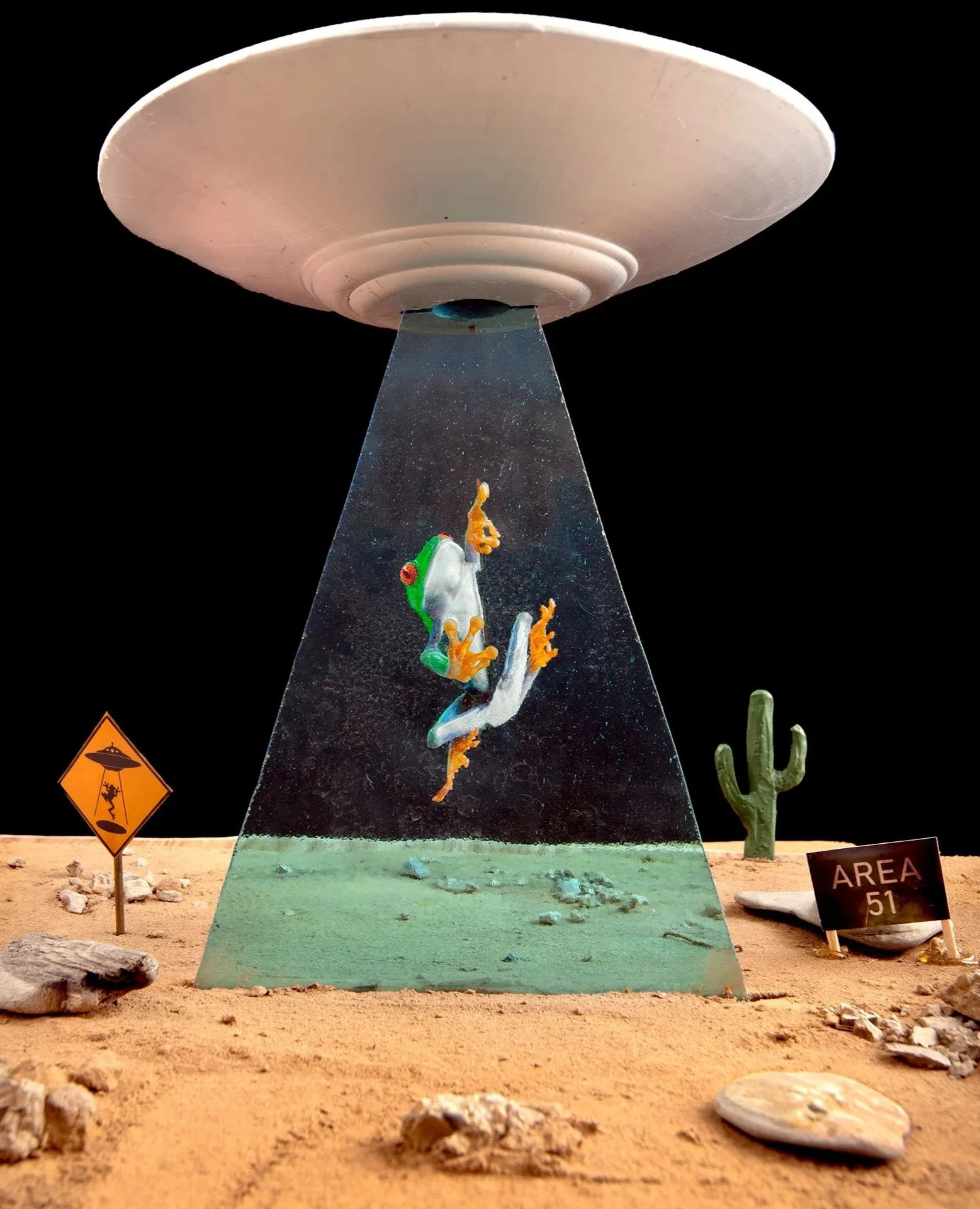 Steven Daniel - Adventures of a Tree Frog