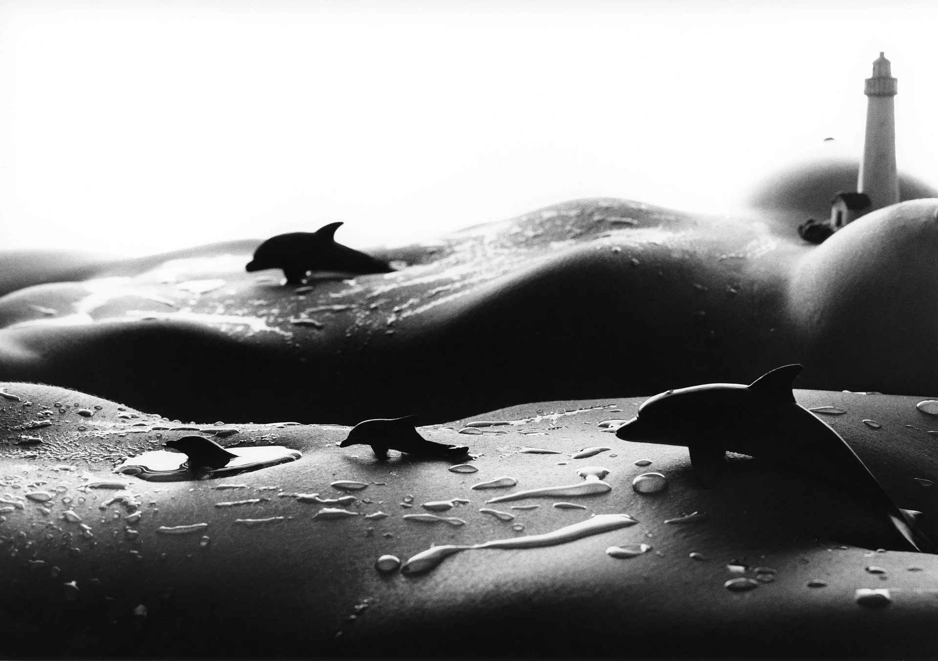 Alan Teger - Teger Photographics