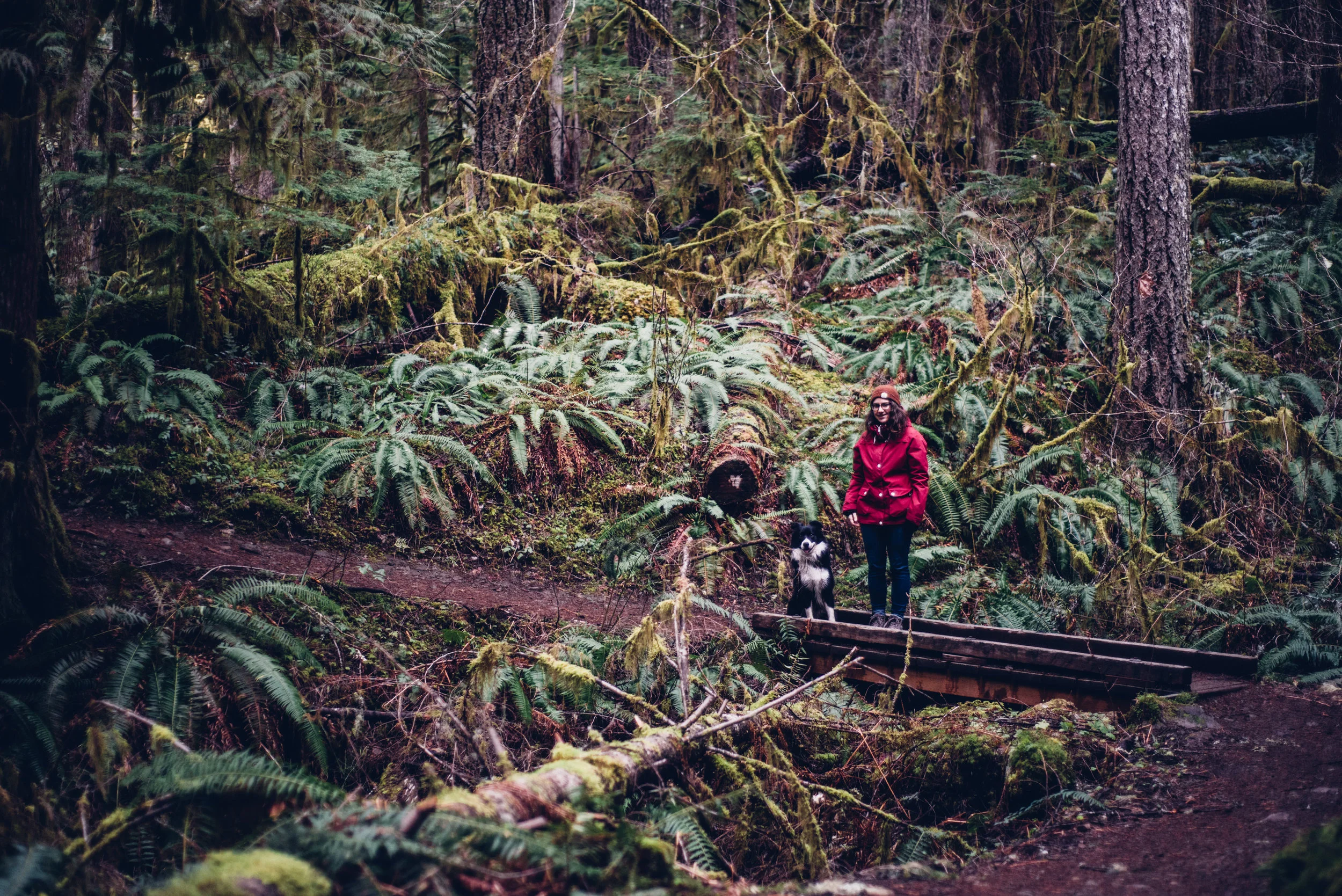 The Cascade Mountains look like a crazy green mountain jungle with hundreds of shades of green in the form of moss, ferns, plants and trees. Being in the forest feels like being in a different world. Photo by: Isaac Miller Photography
