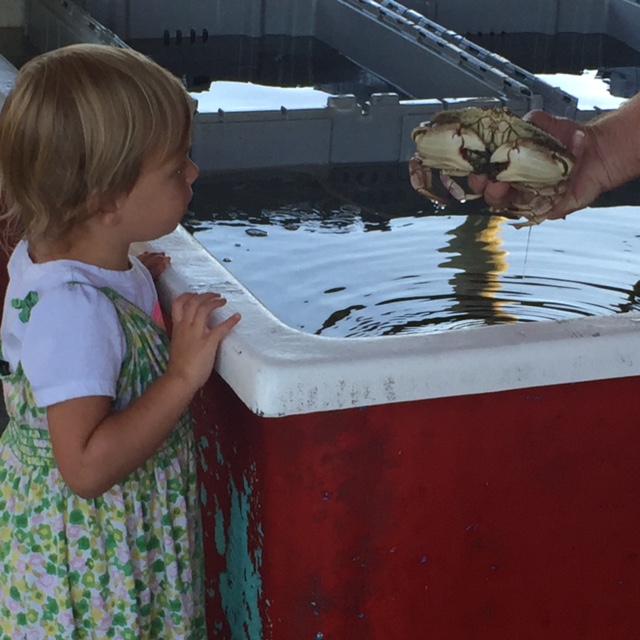 Robinson's Wharf - Touch Tank.JPG