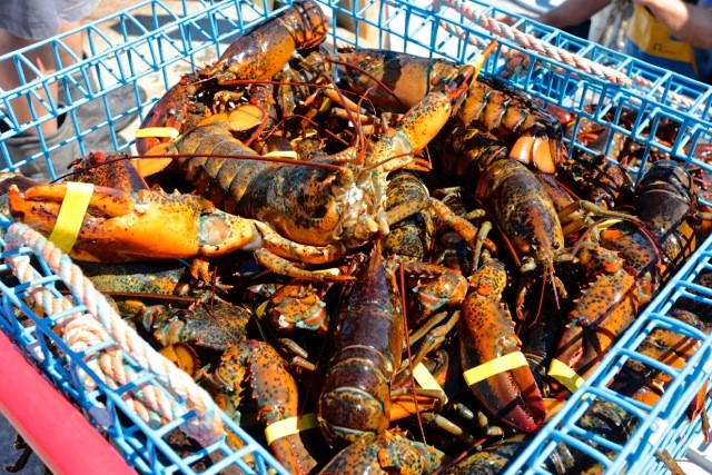 Robinson's Wharf - Fresh Lobster.jpg