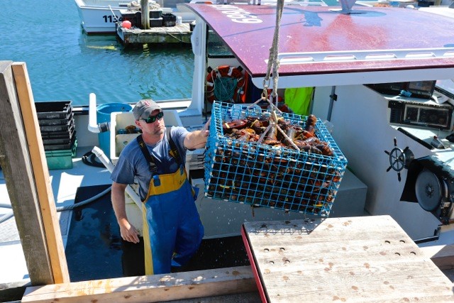 Robinson's Wharf - Lobsterman.jpg