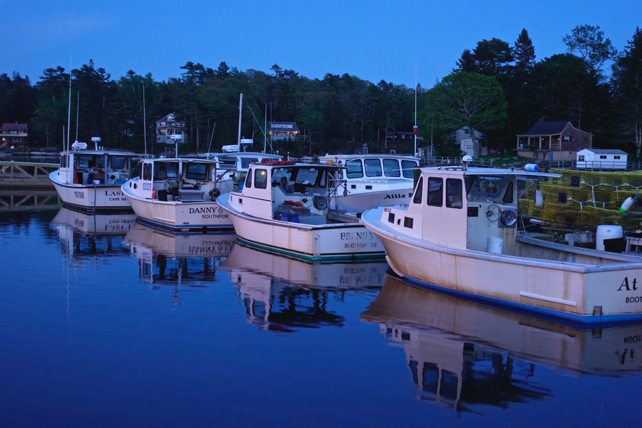 Robinson's Wharf - Boats at night.jpg