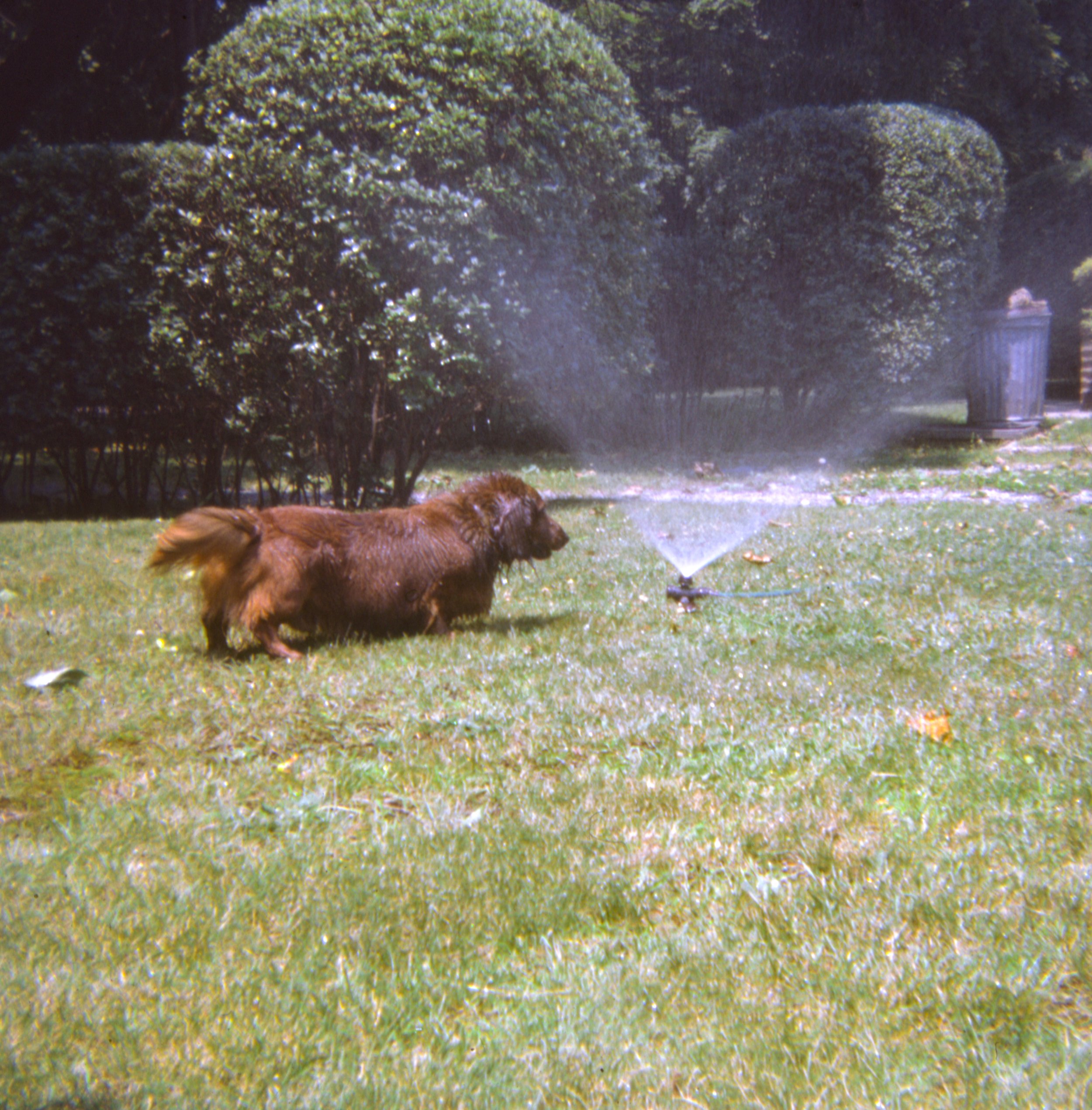 Slide #318 "Gaylord, Summer of '68"