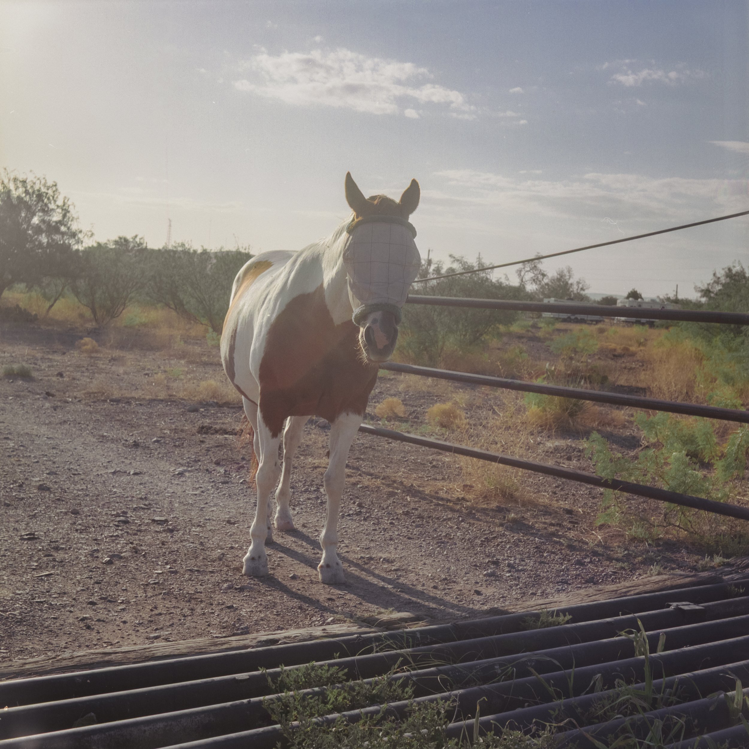  Alpine, Texas 