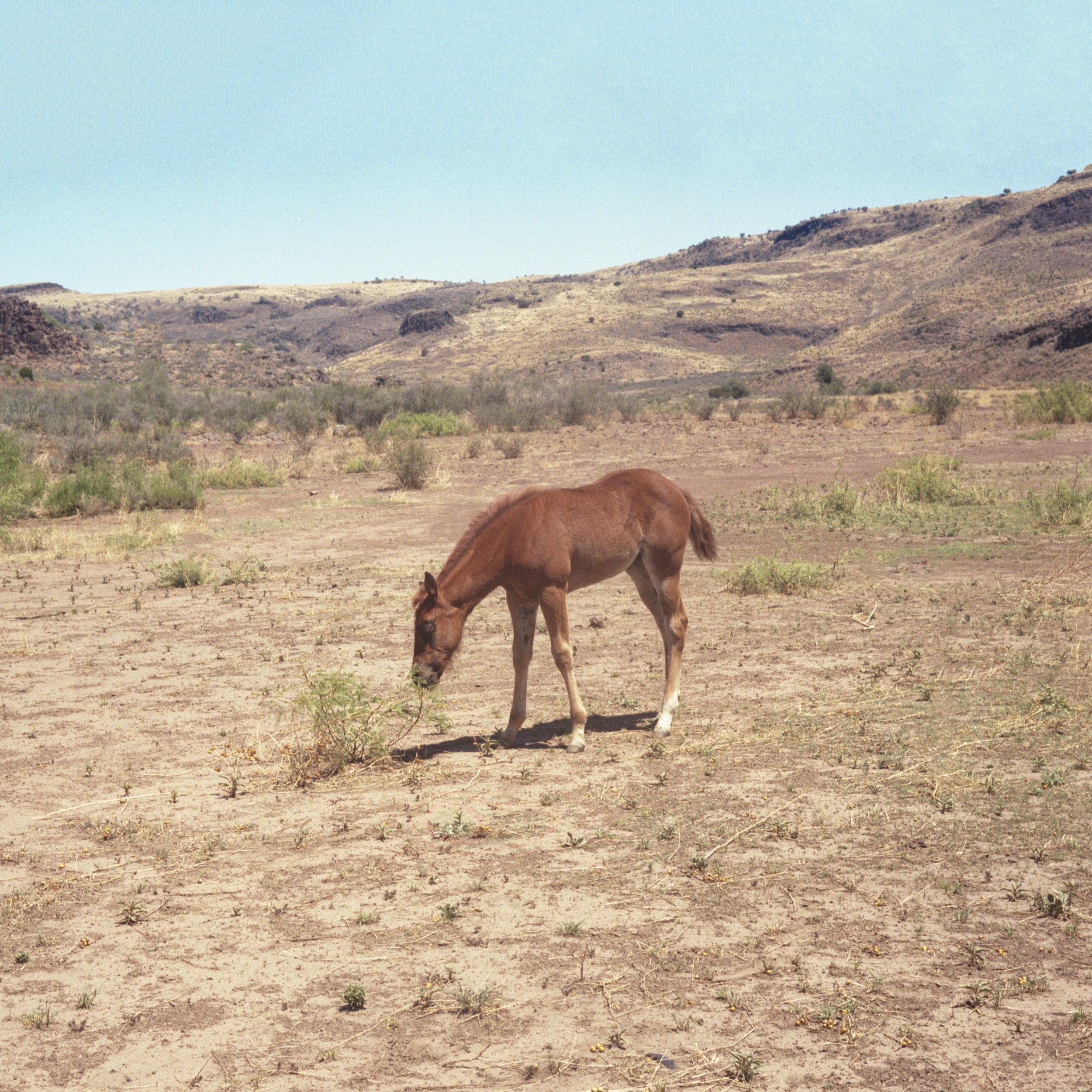  Somewhere in West Texas 