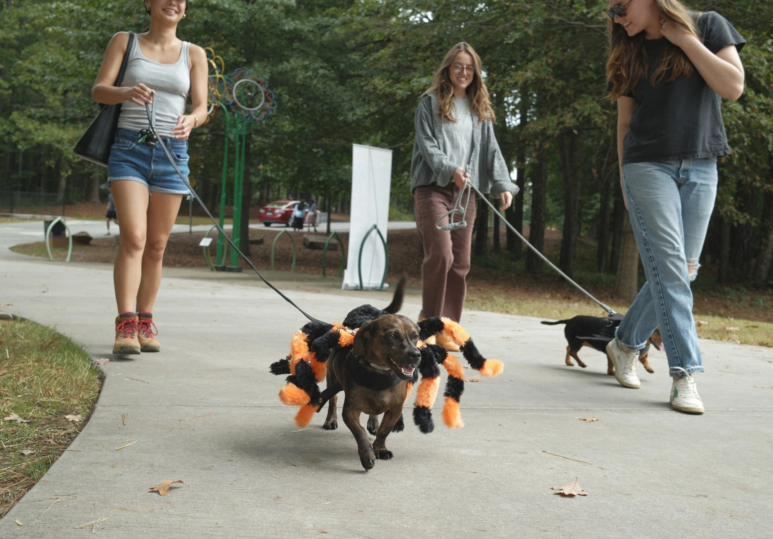 DREAM-HowloWeenie_Keri Cronan_2025.09.27-29.jpg