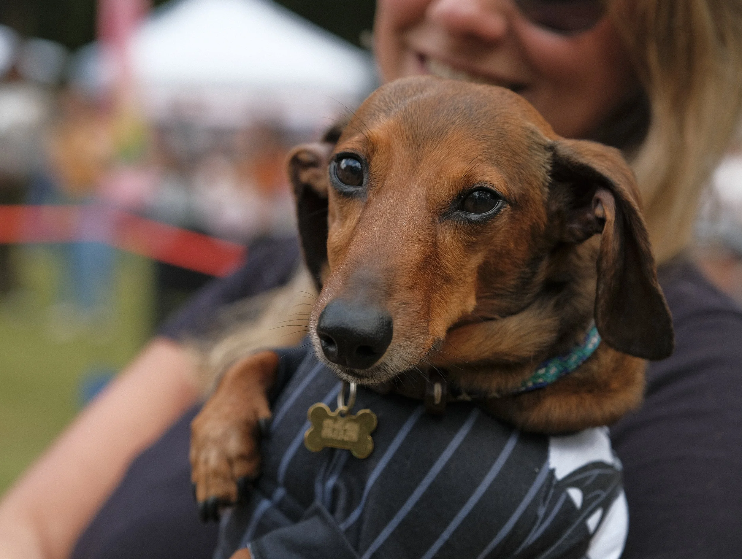 DREAM-HowloWeenie_Keri Cronan_2025.09.27-74.jpg
