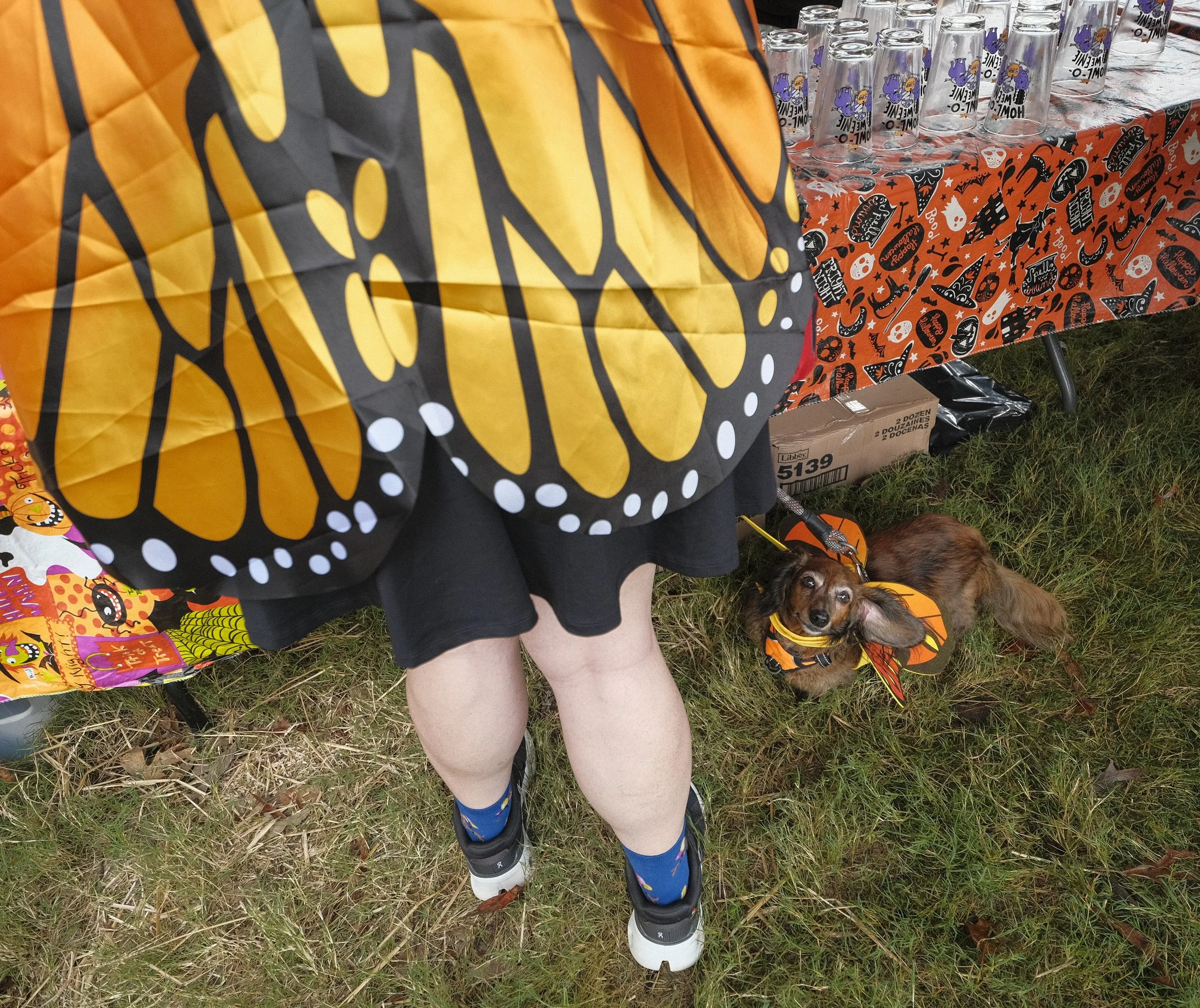 DREAM-HowloWeenie_Keri Cronan_2025.09.27-92.jpg