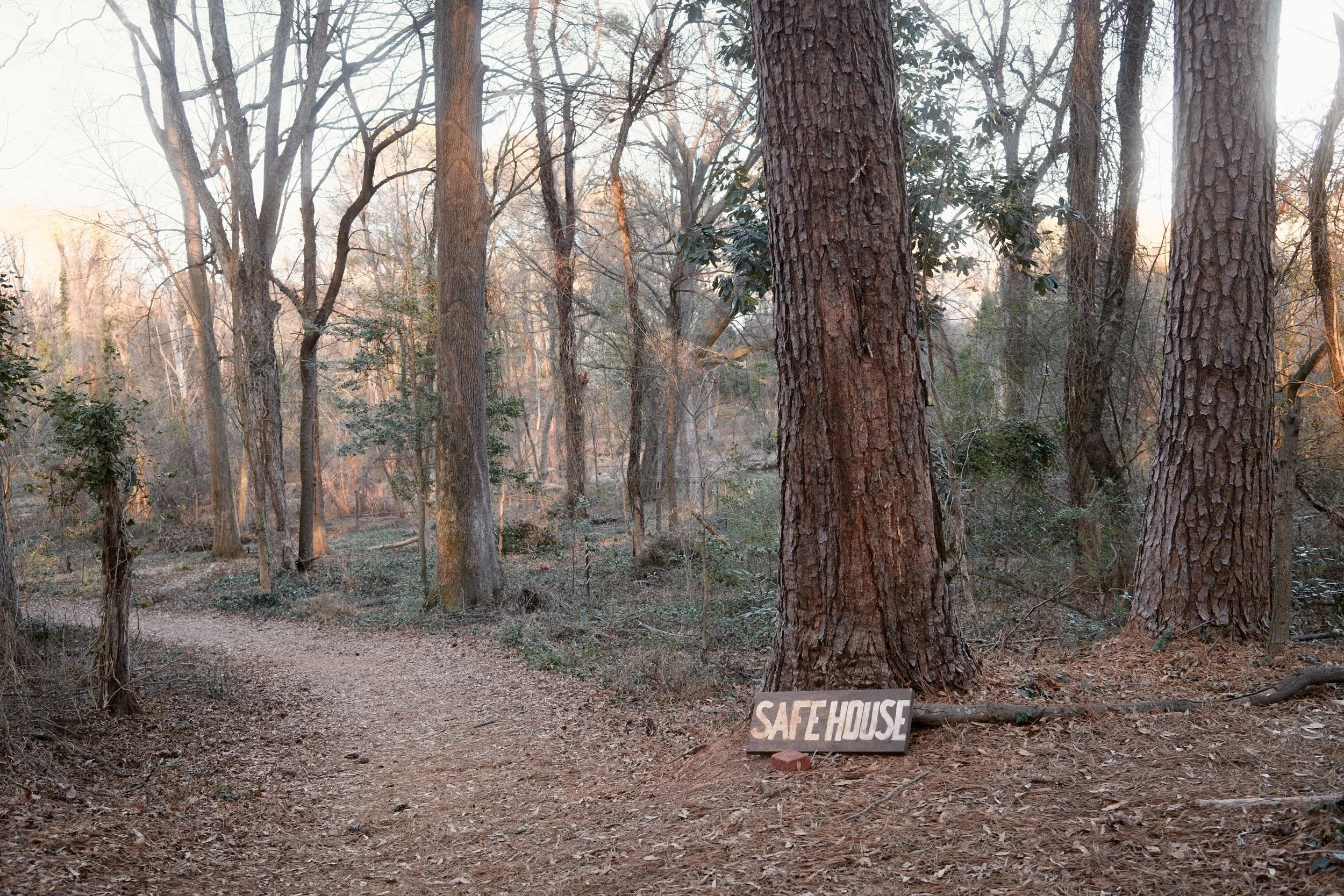 Keri Cronan_2026-3.jpeg