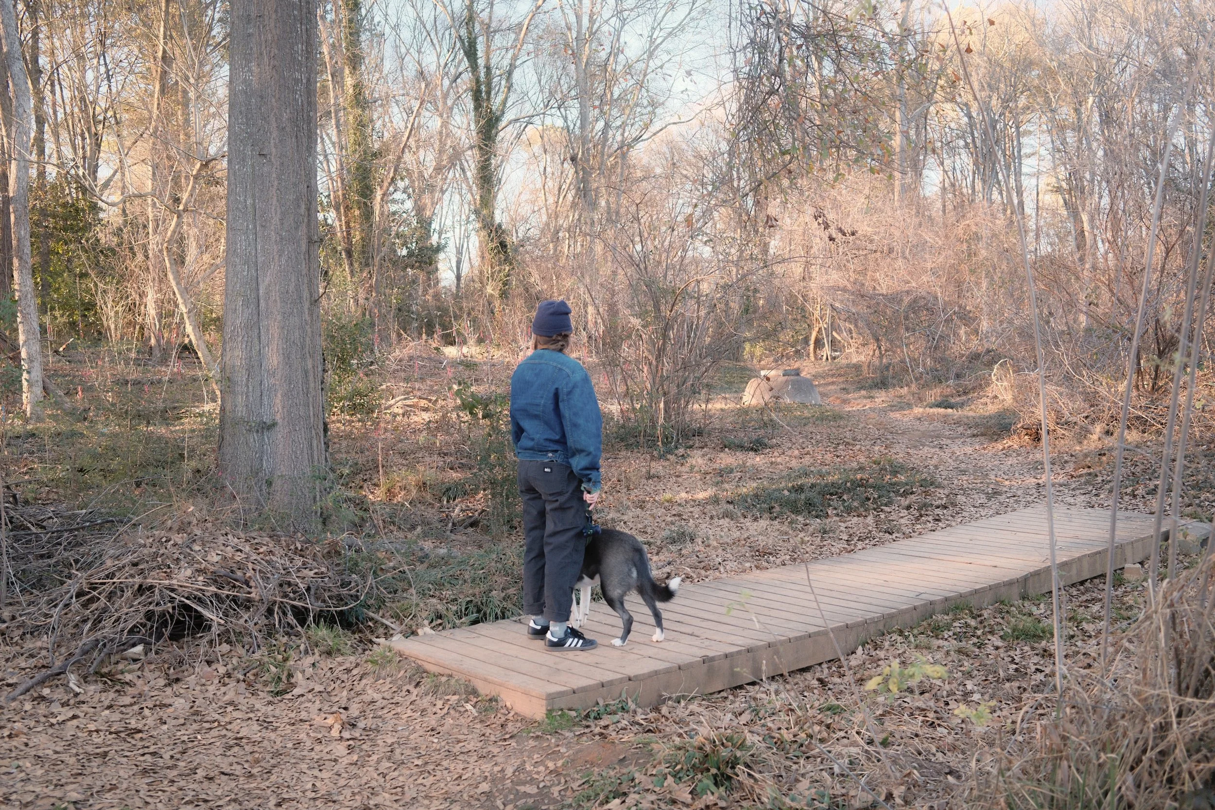 Keri Cronan_2026-2.jpeg