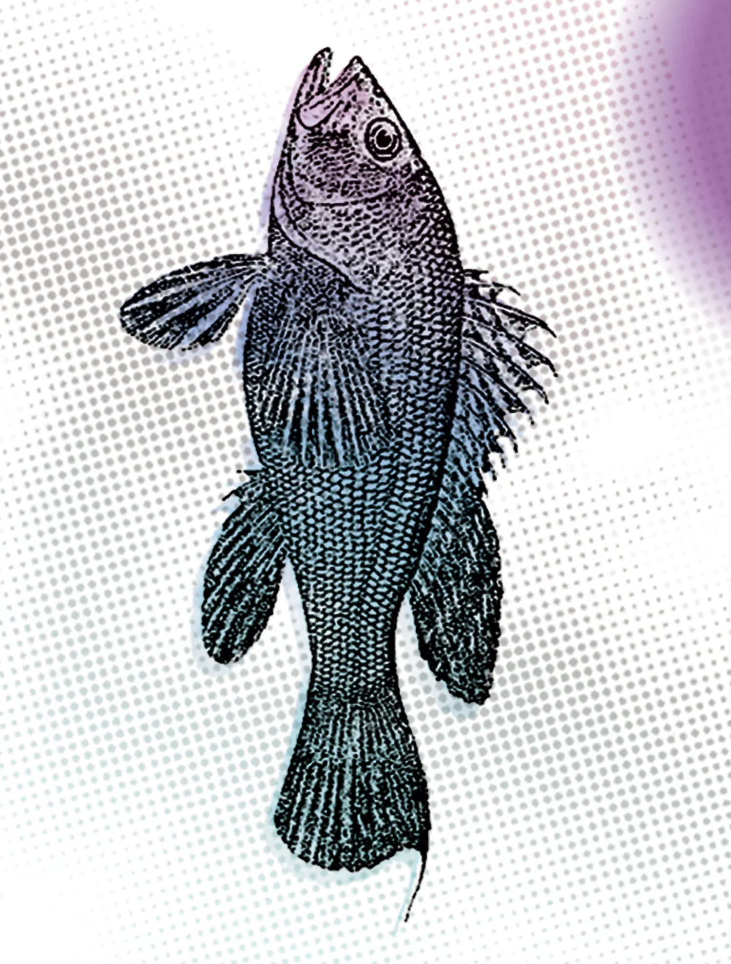 TM_02_SustainableFisheries.jpg