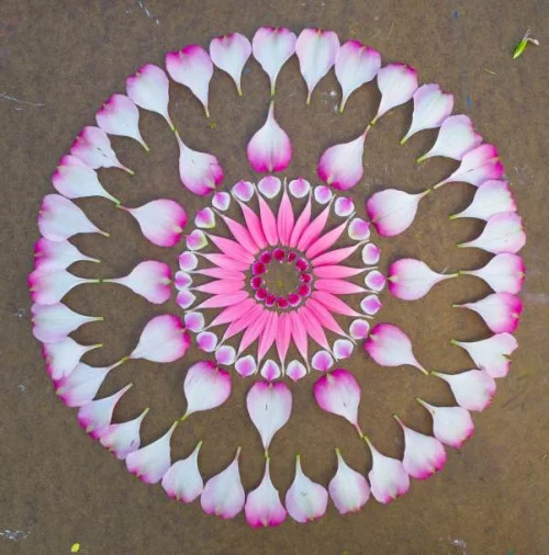 Heart chakra opening energy transmission by Shelly Burton.