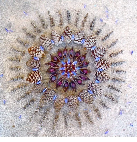 New moon energy transmission by Shelly Burton.