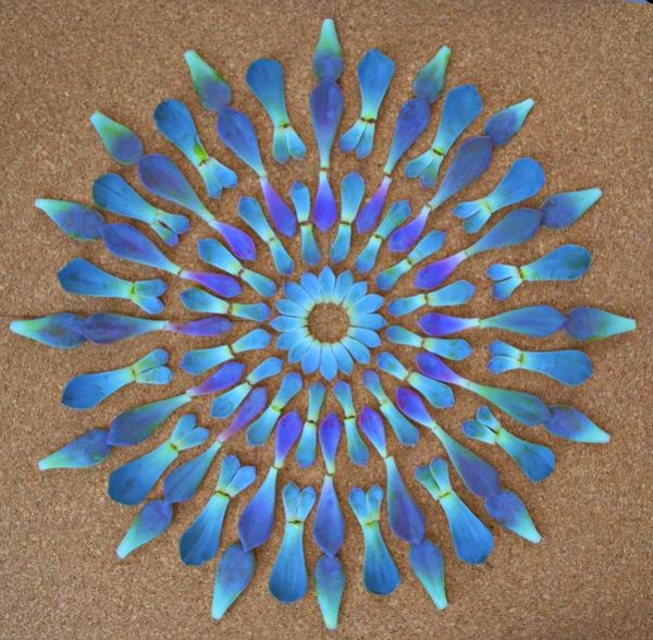 danmala114.jpg