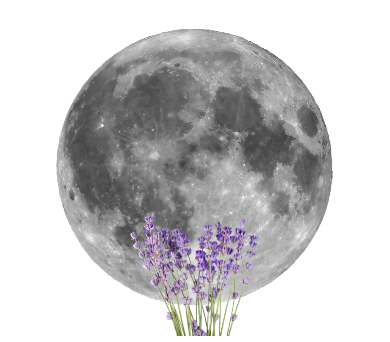 Full Moon Ceremony: Flower Moon