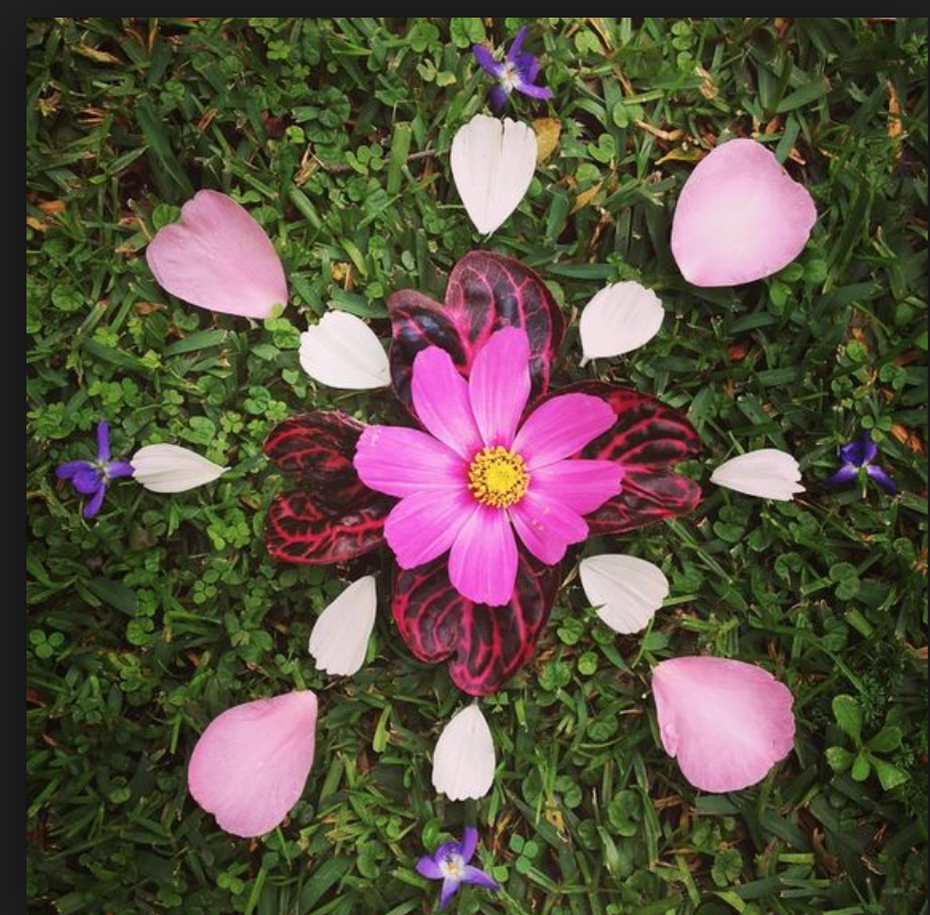 NEW MOON TRANSMISSION ☽ ☾ APR 26, 2017