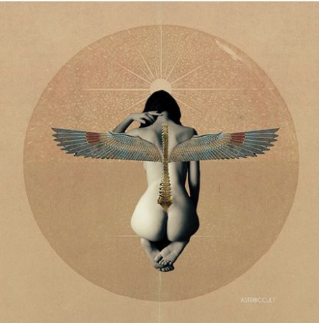 NEW MOON TRANSMISSION ☾
