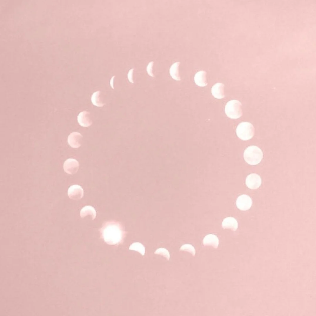 NEW MOON TRANSMISSION ☾