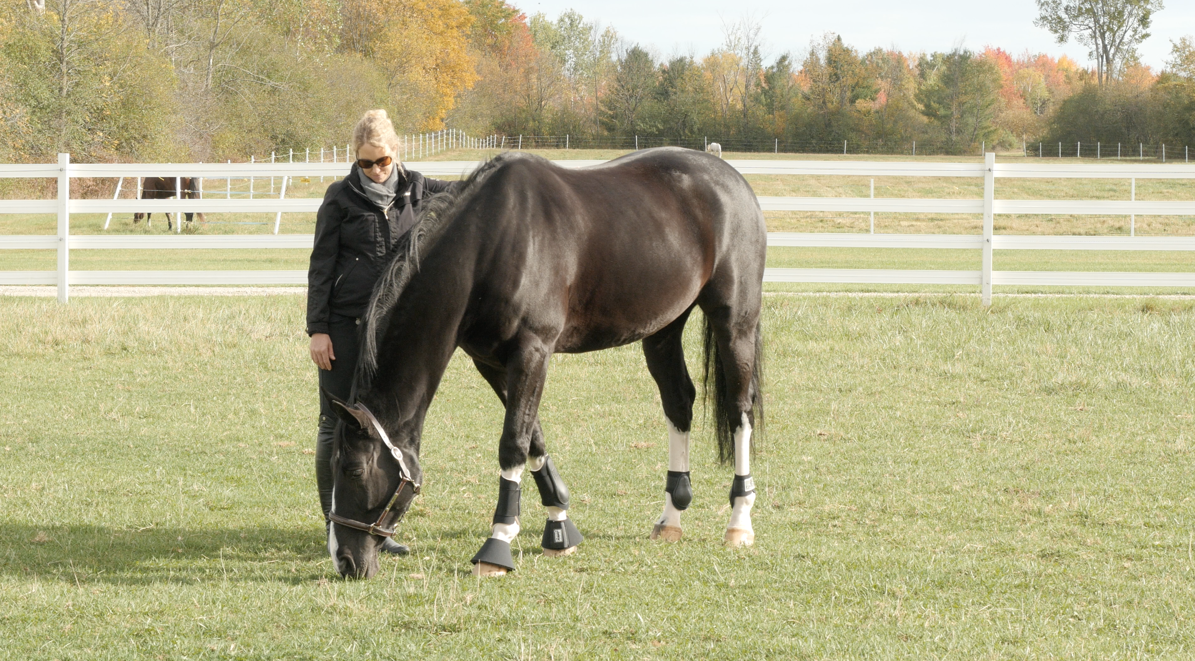 Amy Millar beginning a heart connection with her horse.