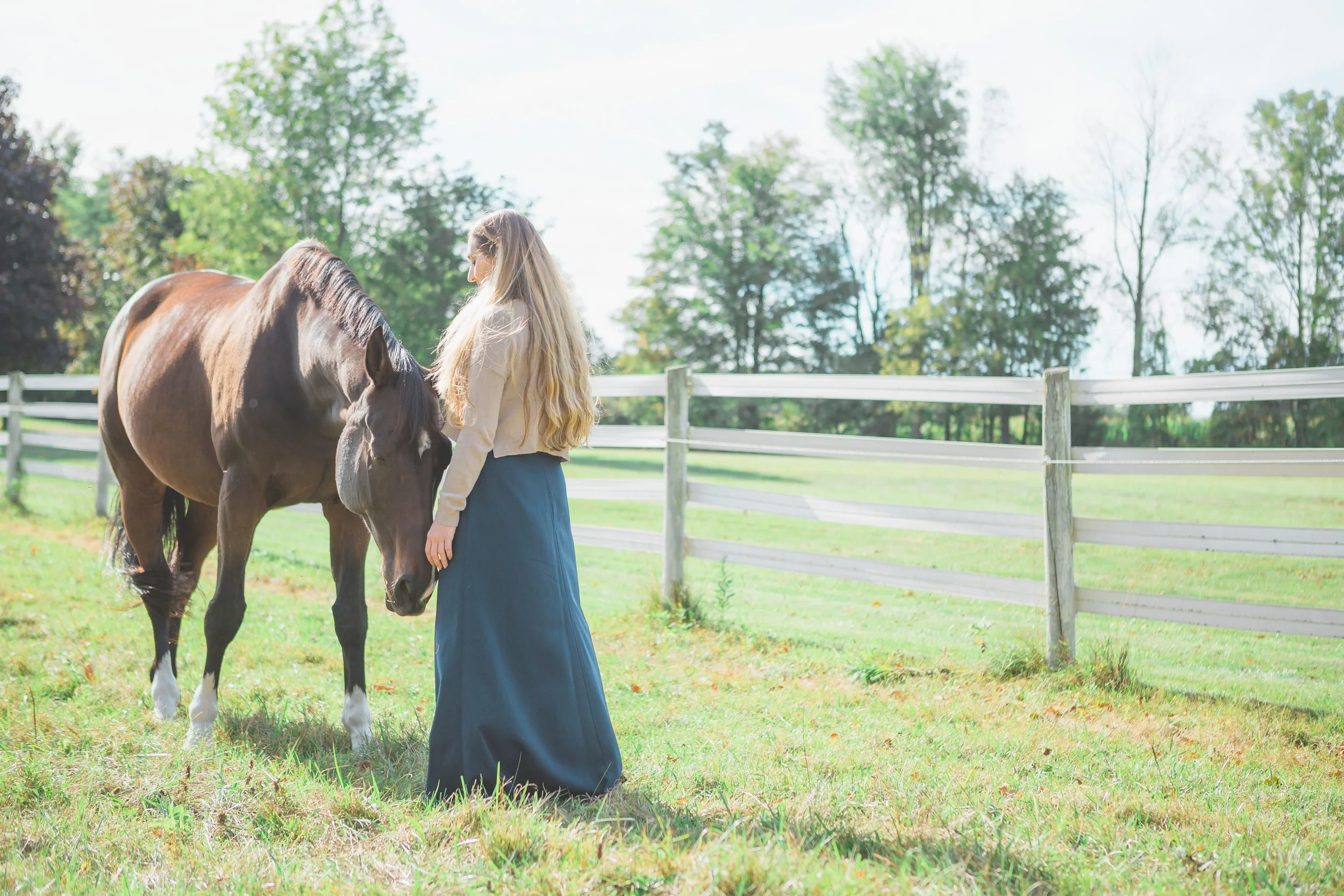 Horse 2.jpg