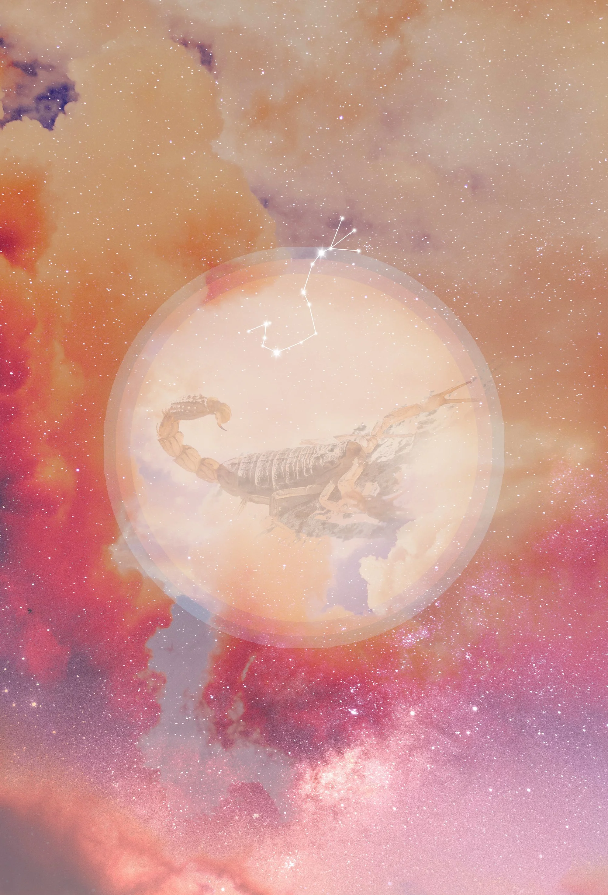 HAPPY NEW MOON