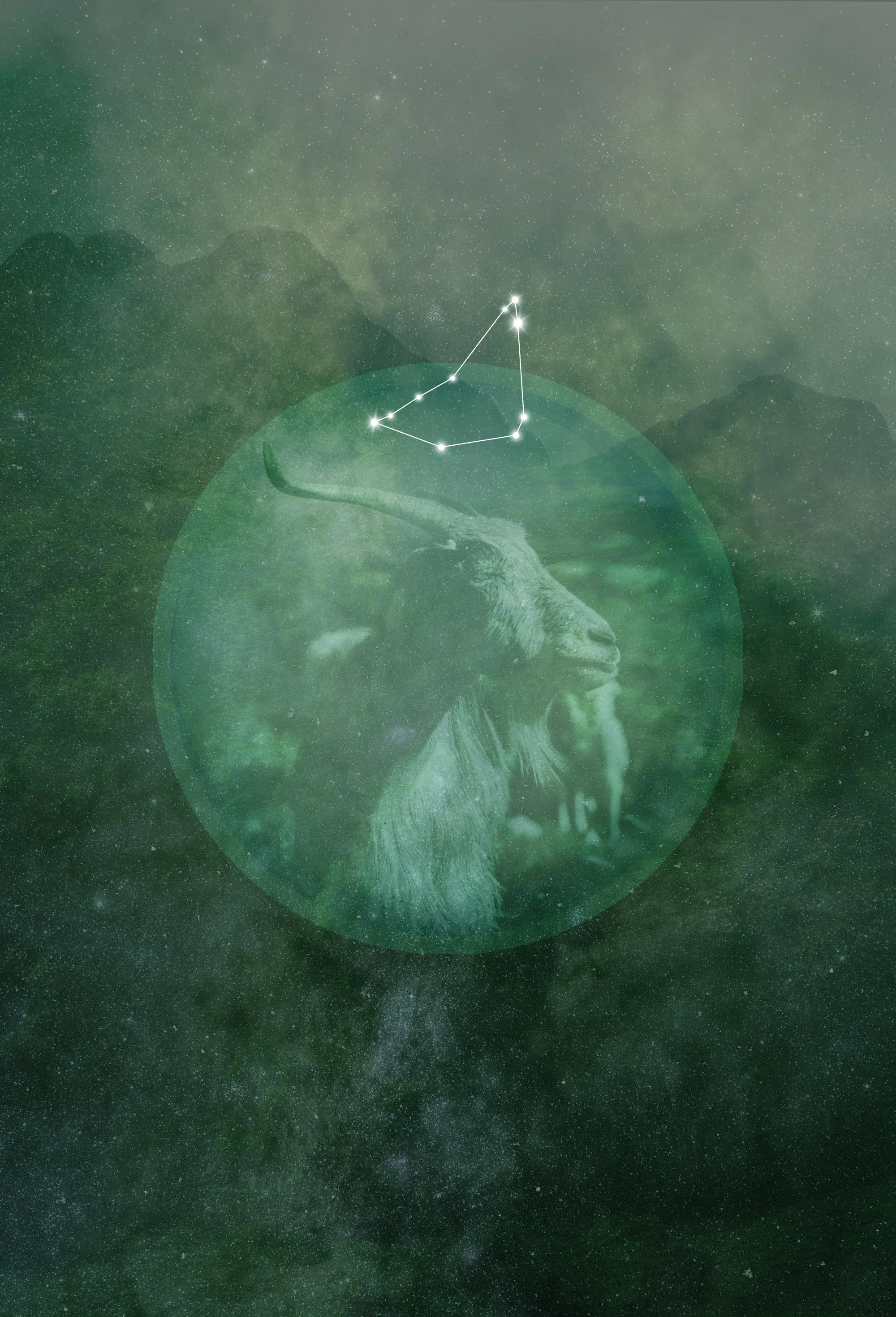 HAPPY NEW MOON