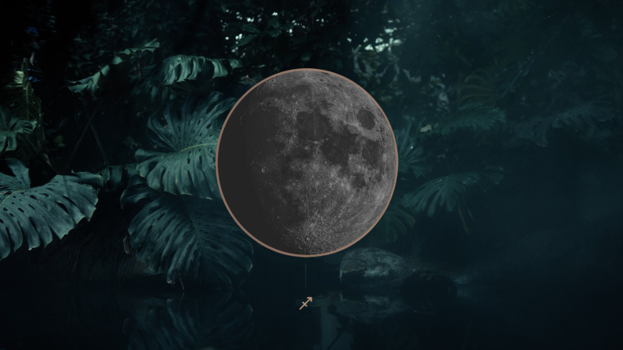 HAPPY NEW MOON + SOLSTICE