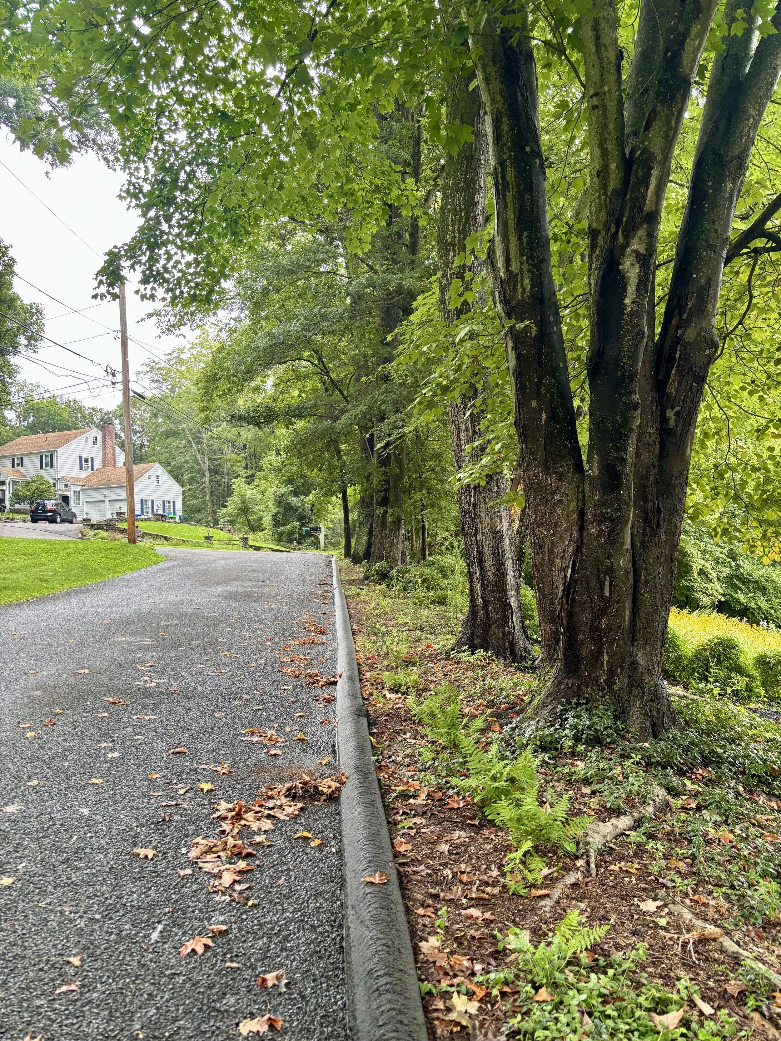 The Pines and Oaks of Easton
