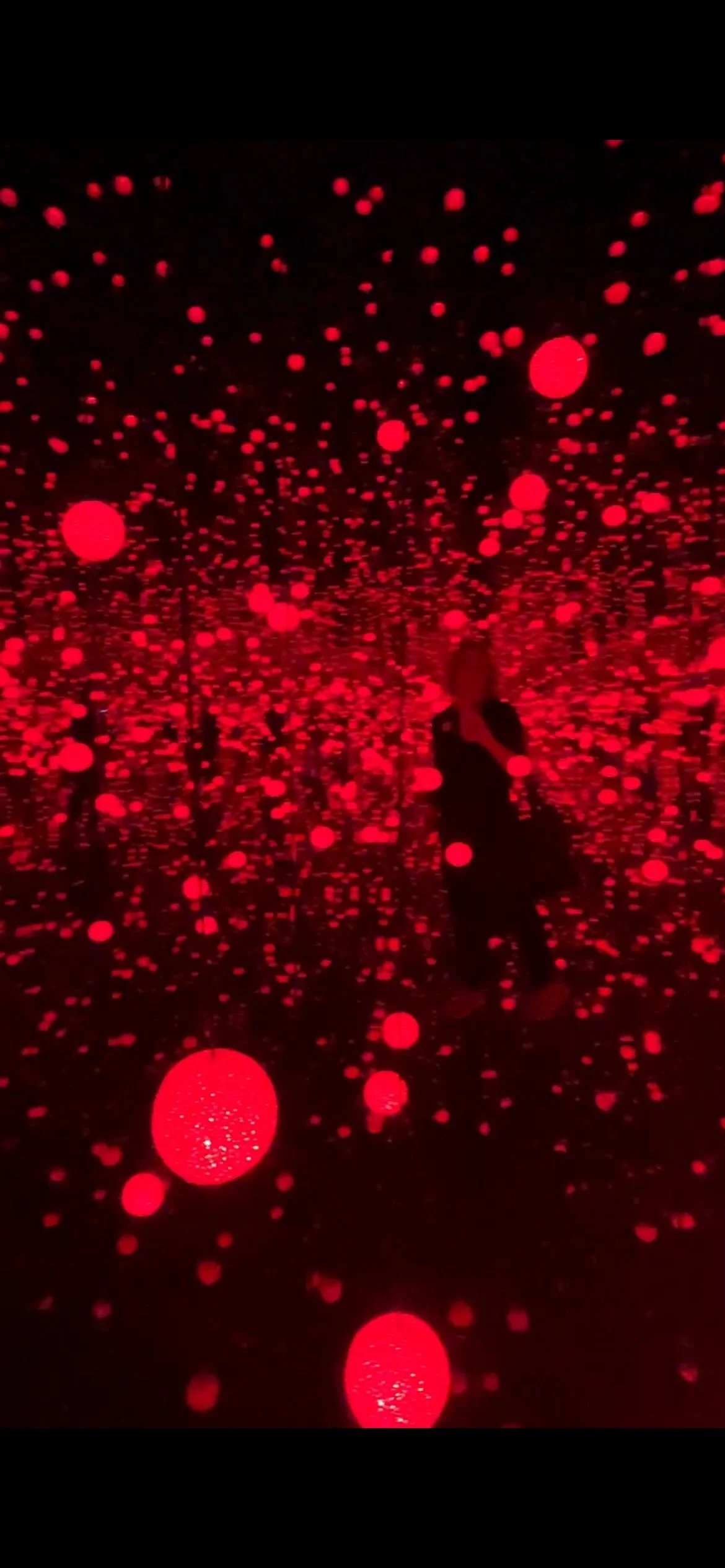 Kusama: Encounters with the Infinite