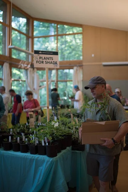 Plant Sale Boxman 2017.jpg